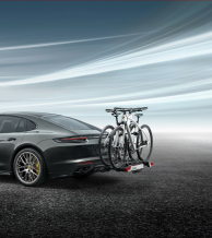 Rear-mounted bike carrier