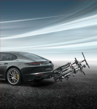 Rear-mounted bike carrier